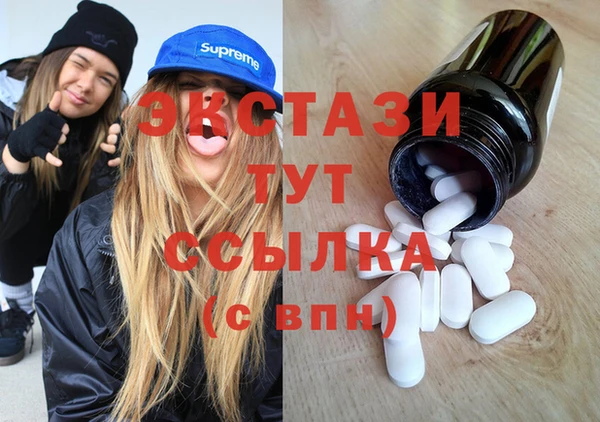 ECSTASY Гусь-Хрустальный