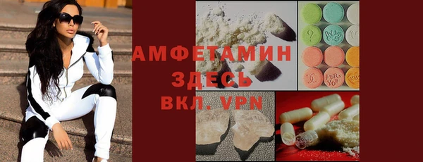 ECSTASY Гусь-Хрустальный