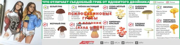 ECSTASY Гусь-Хрустальный