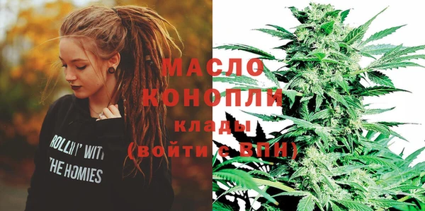 ECSTASY Гусь-Хрустальный