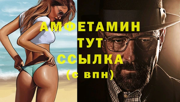 ECSTASY Гусь-Хрустальный