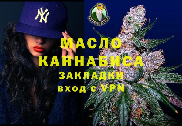 ECSTASY Гусь-Хрустальный