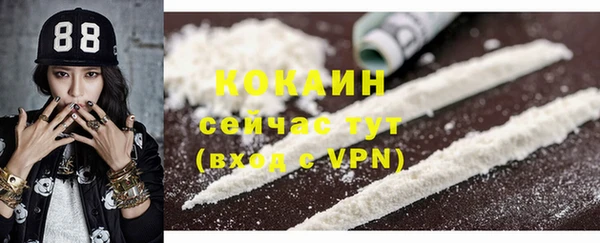 ECSTASY Гусь-Хрустальный