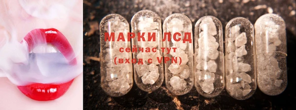 ECSTASY Гусь-Хрустальный